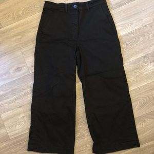 Everlane wide leg crop pants short